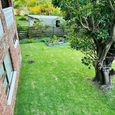 Barefoot B&B Morgan's Bay Esterno foto